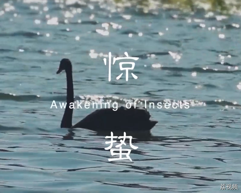 二十四食者——惊蛰：阳和启蛰 应势而为（粤）