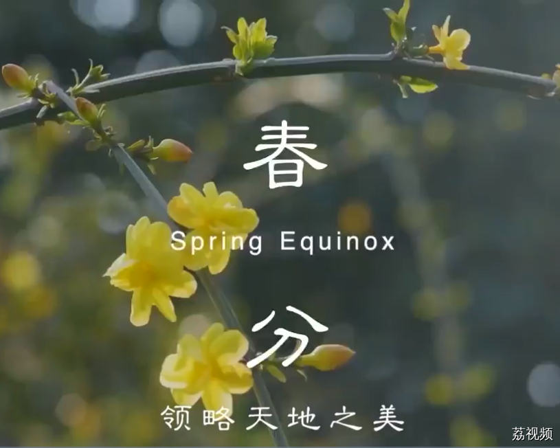 二十四食者——春分：春色正中 不负机遇（粤）