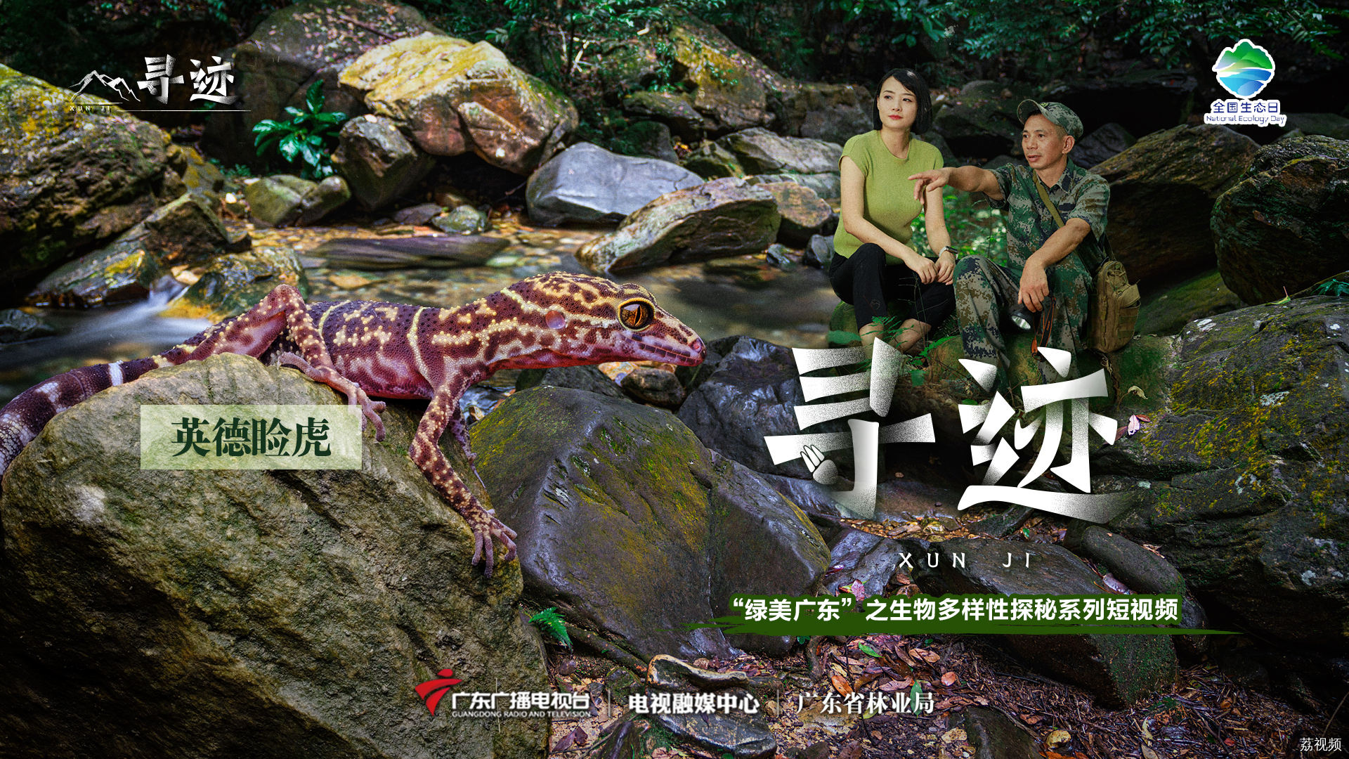 探寻广东 “石缝萌物” 神出鬼没的英德睑虎