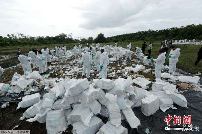 当地时间11月29日，巴拿马切波区，巴拿马警方当天公开销毁一批毒品，现场浓烟滚滚。据悉，警方在过去两个月缴获超过24.6吨的可卡因、大麻和其他合成毒品。