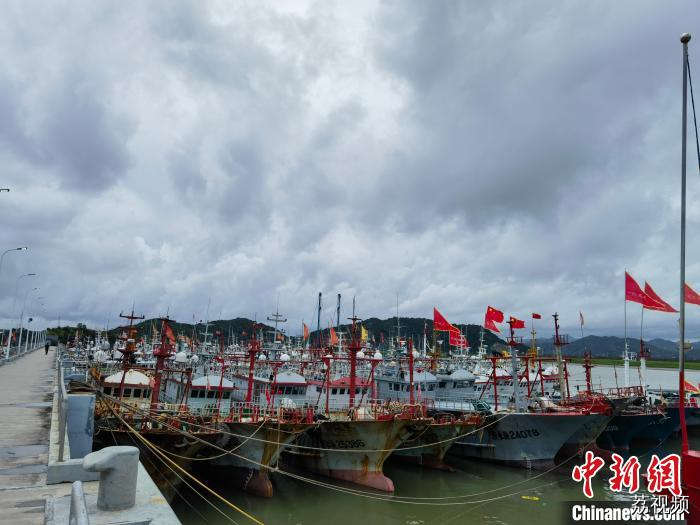 浙江海浪警报升级橙色 近海海域将现8-10米狂浪到狂涛