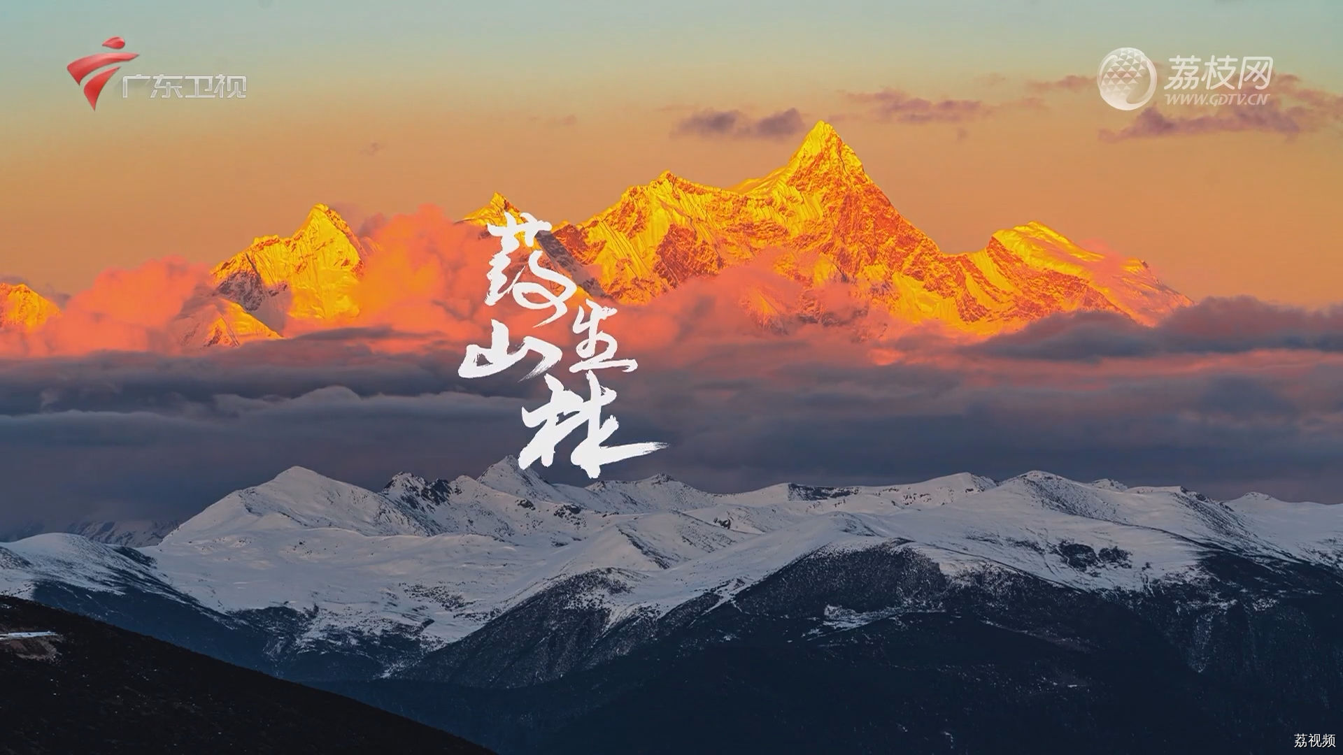 秘境神草：药生山林