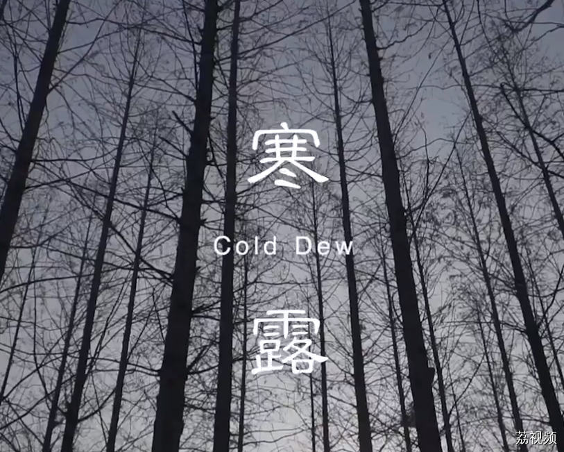二十四食者——寒露：秋浓露凝 高瞻远瞩（粤）