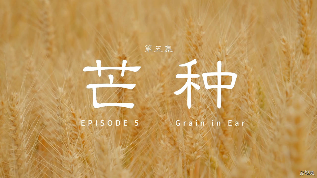 二十四食者——芒种：连收带种 继往开来（粤）