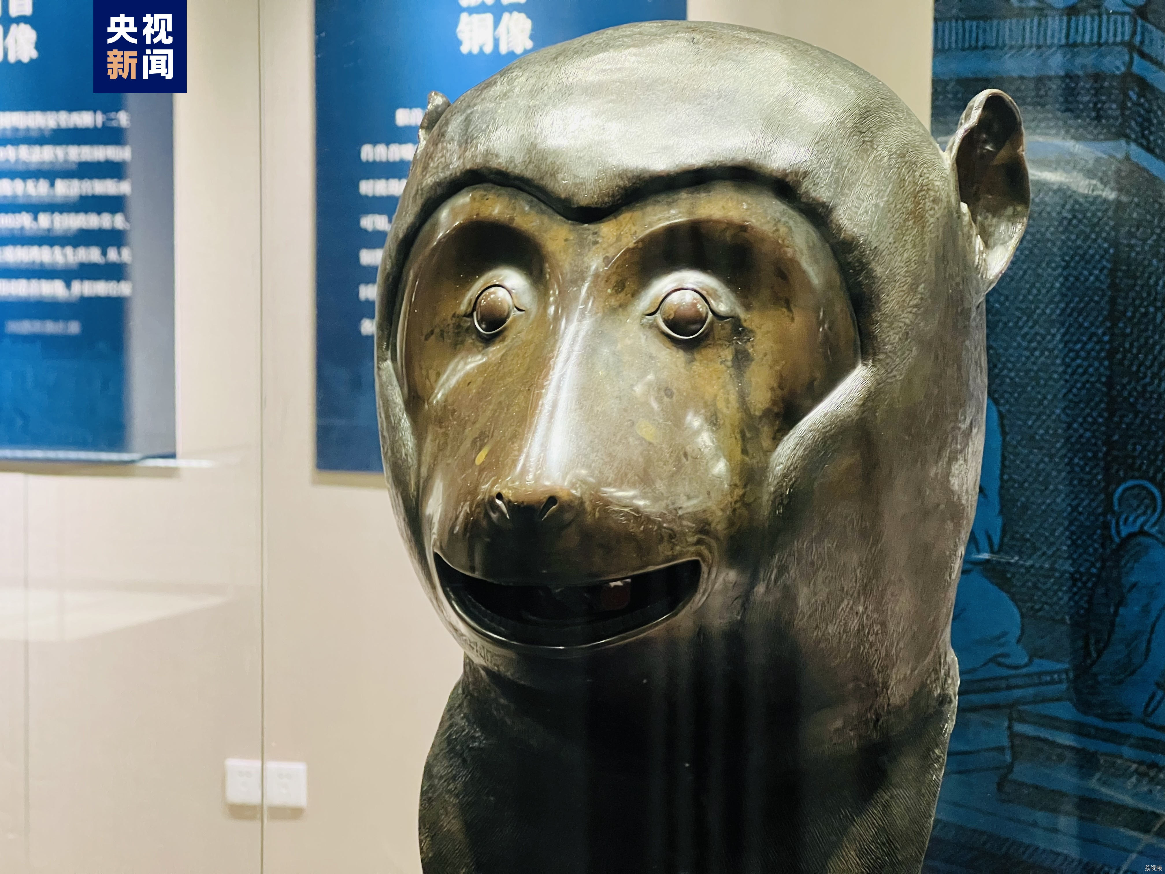 时隔163年 五兽首首次重聚圆明园