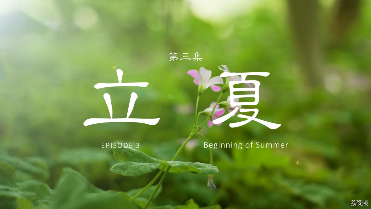 二十四食者——立夏：万物并秀 圆满融通（粤）