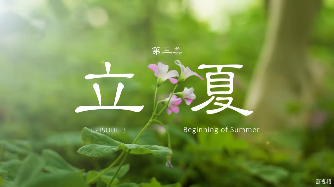 二十四食者——立夏：万物并秀 圆满融通（英）