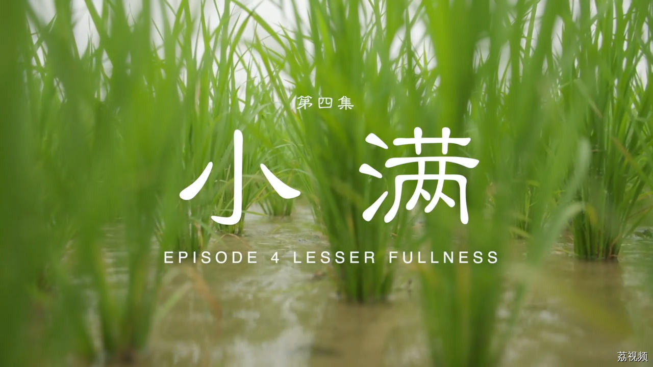 二十四食者——小满：谦逊顺时 小得盈满（英）