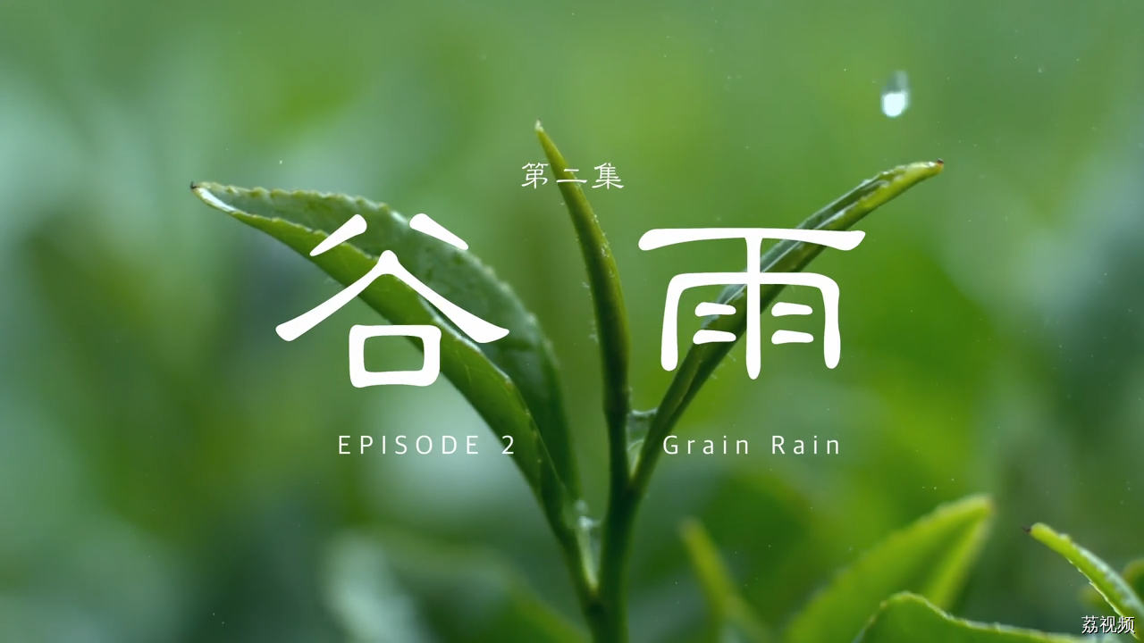 二十四食者——谷雨：雨生百谷 和而不同（粤）