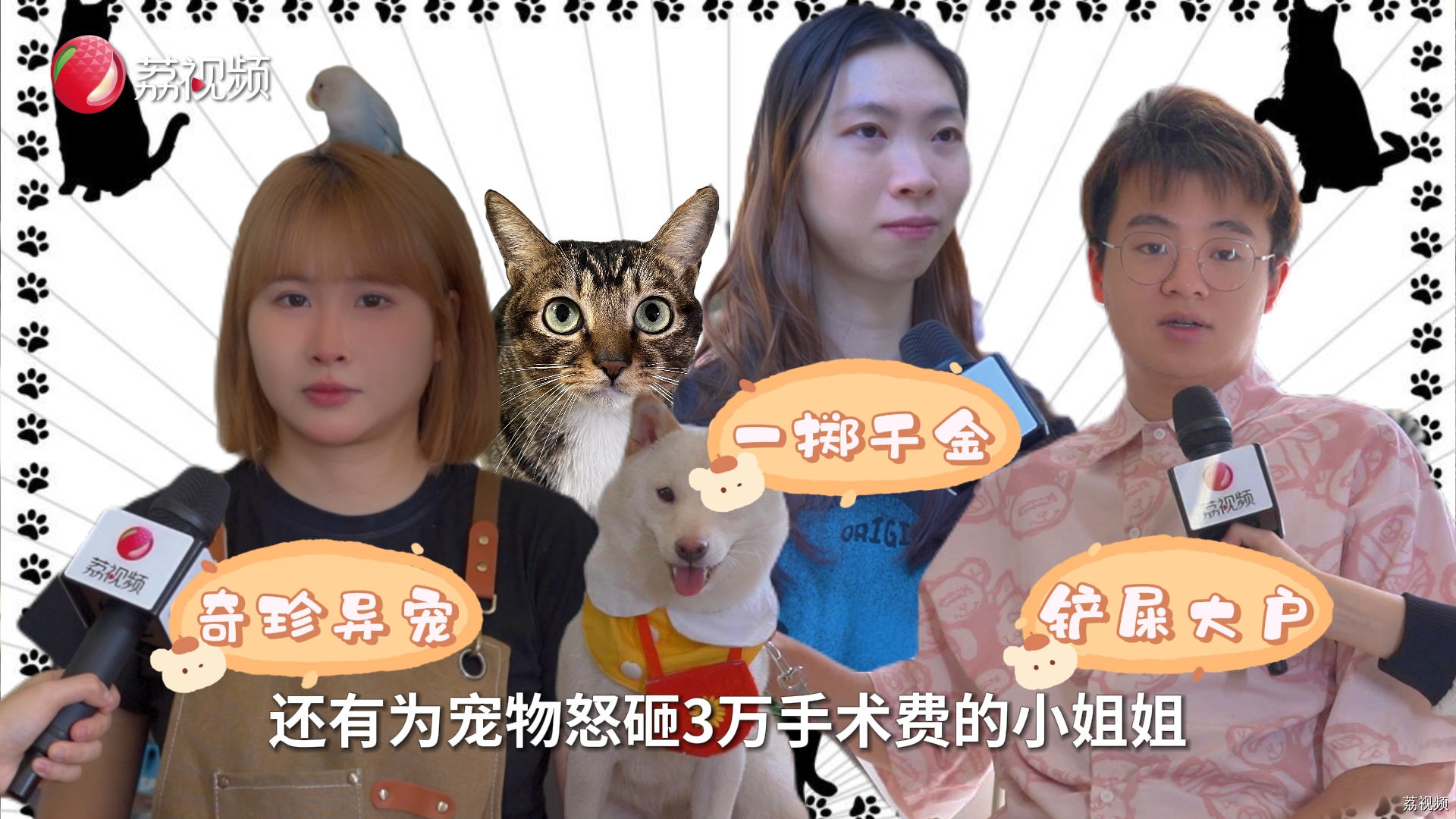 月薪三千真的不配养宠物吗？