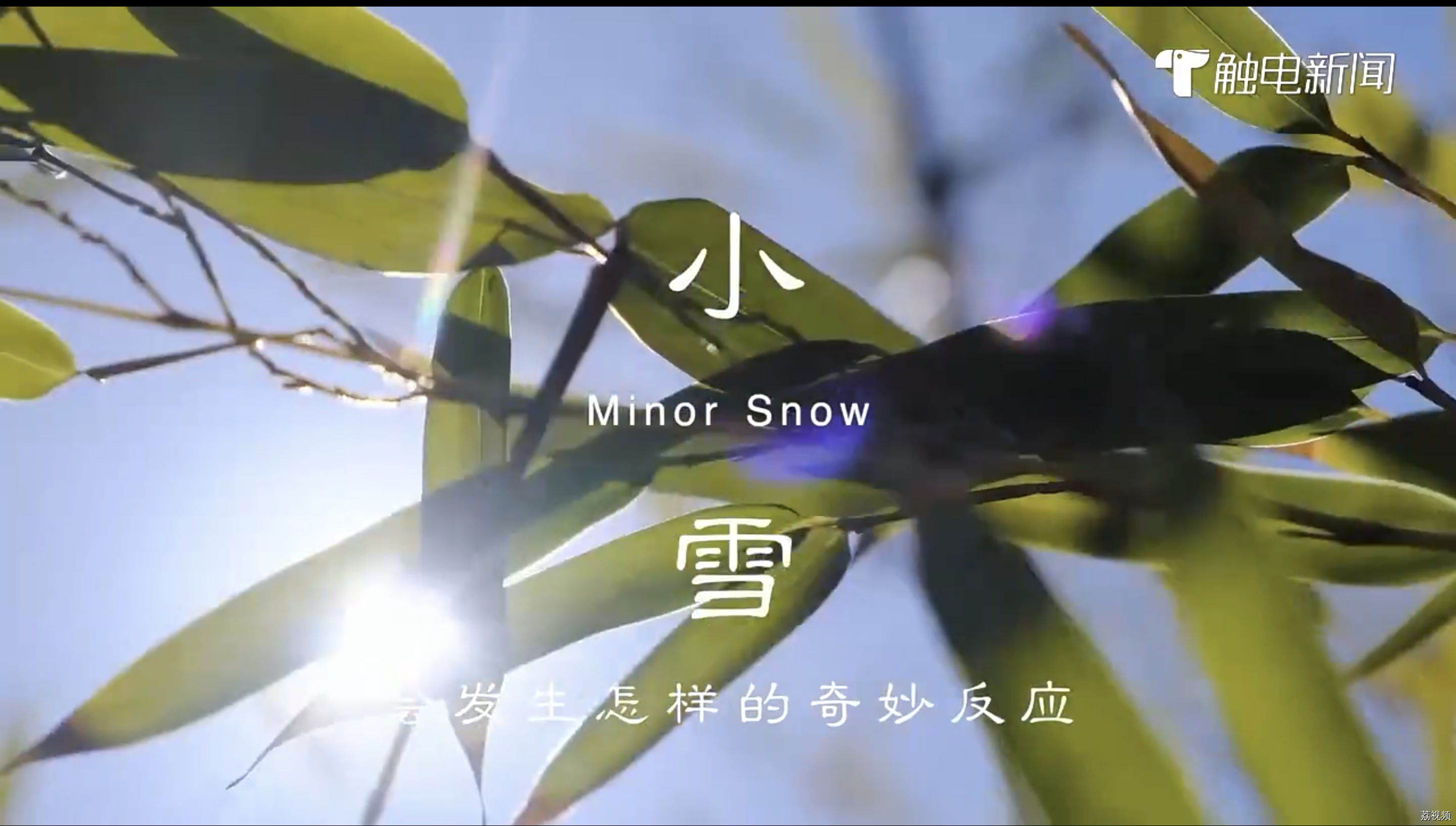 二十四食者——小雪：气寒初雪 以心相交