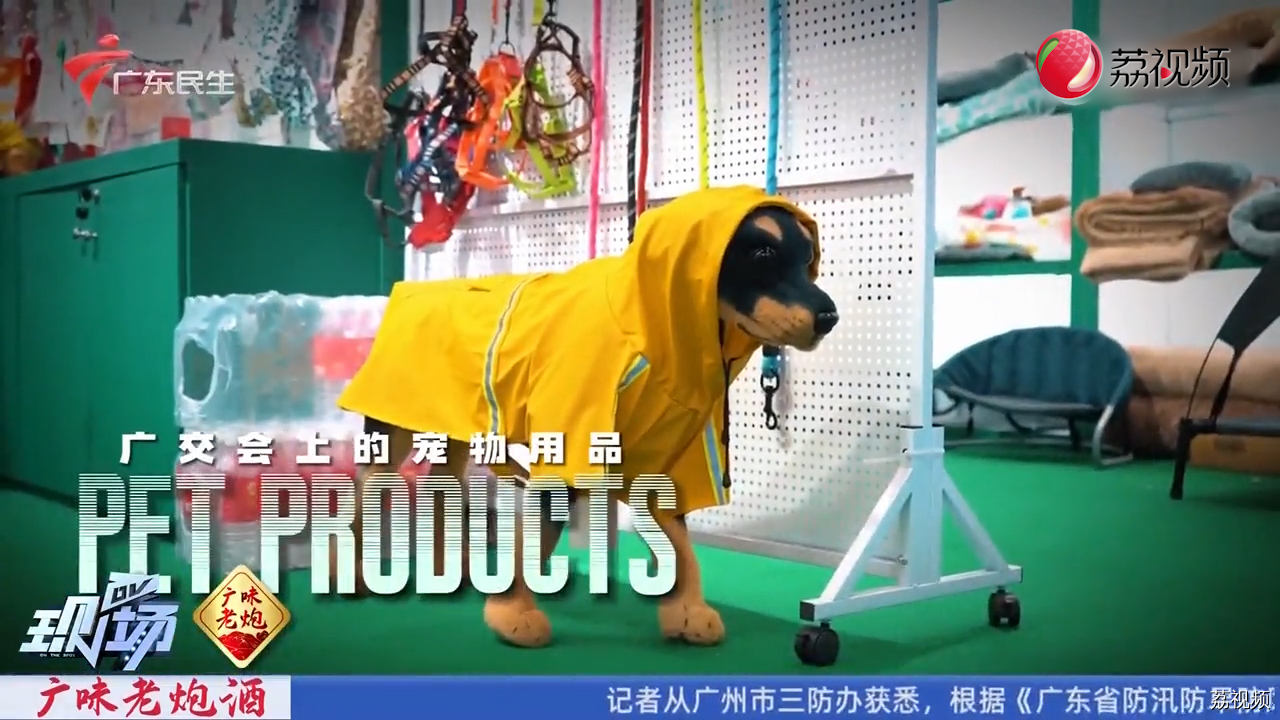 小萌宠催生“大经济” 揭秘广交会上的宠物产品
