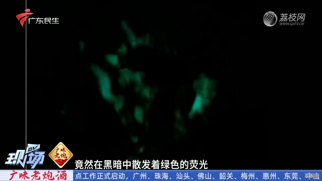 海鱼红烧后半夜发光？ 专家：感染发光菌类所致