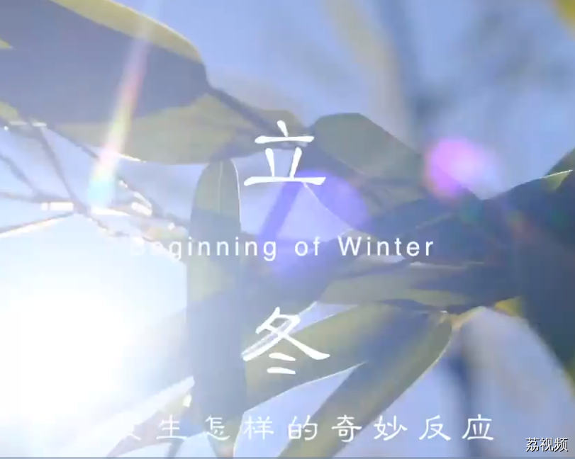 二十四食者——立冬：冬日之阳 人心向暖（粤）