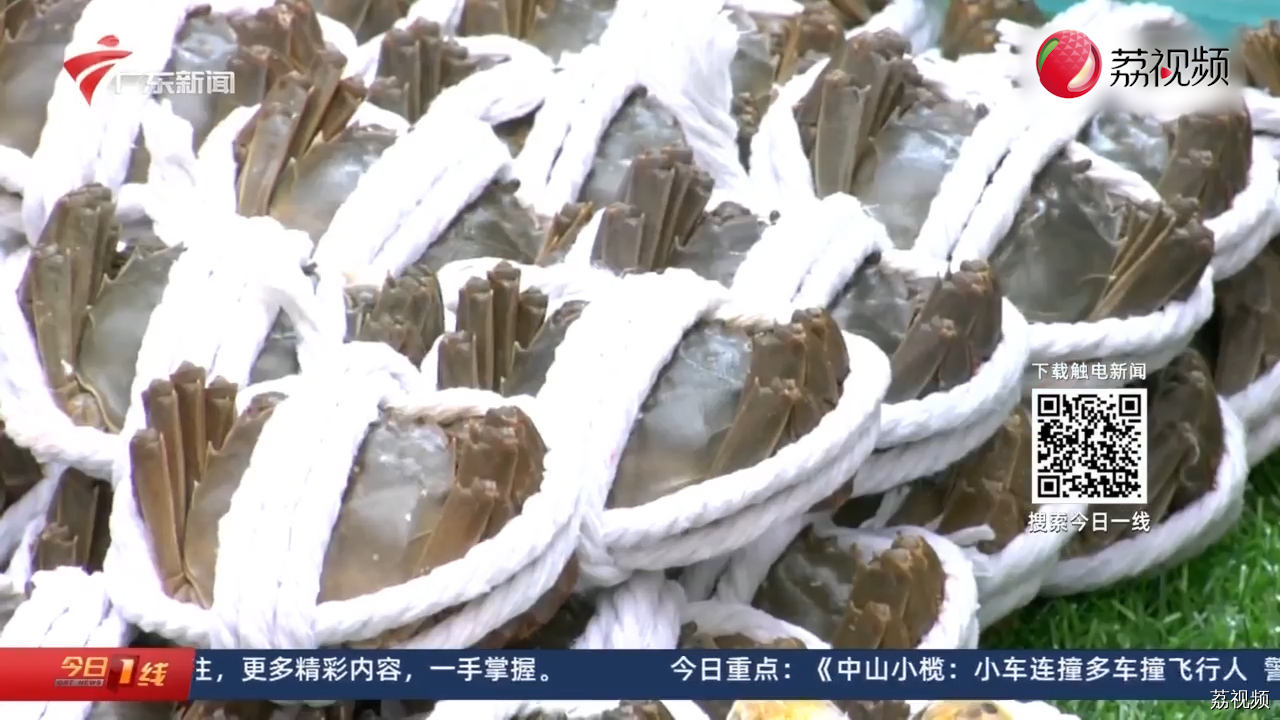 大闸蟹市场“遇冷” 食评人：老广爱羊甚于蟹