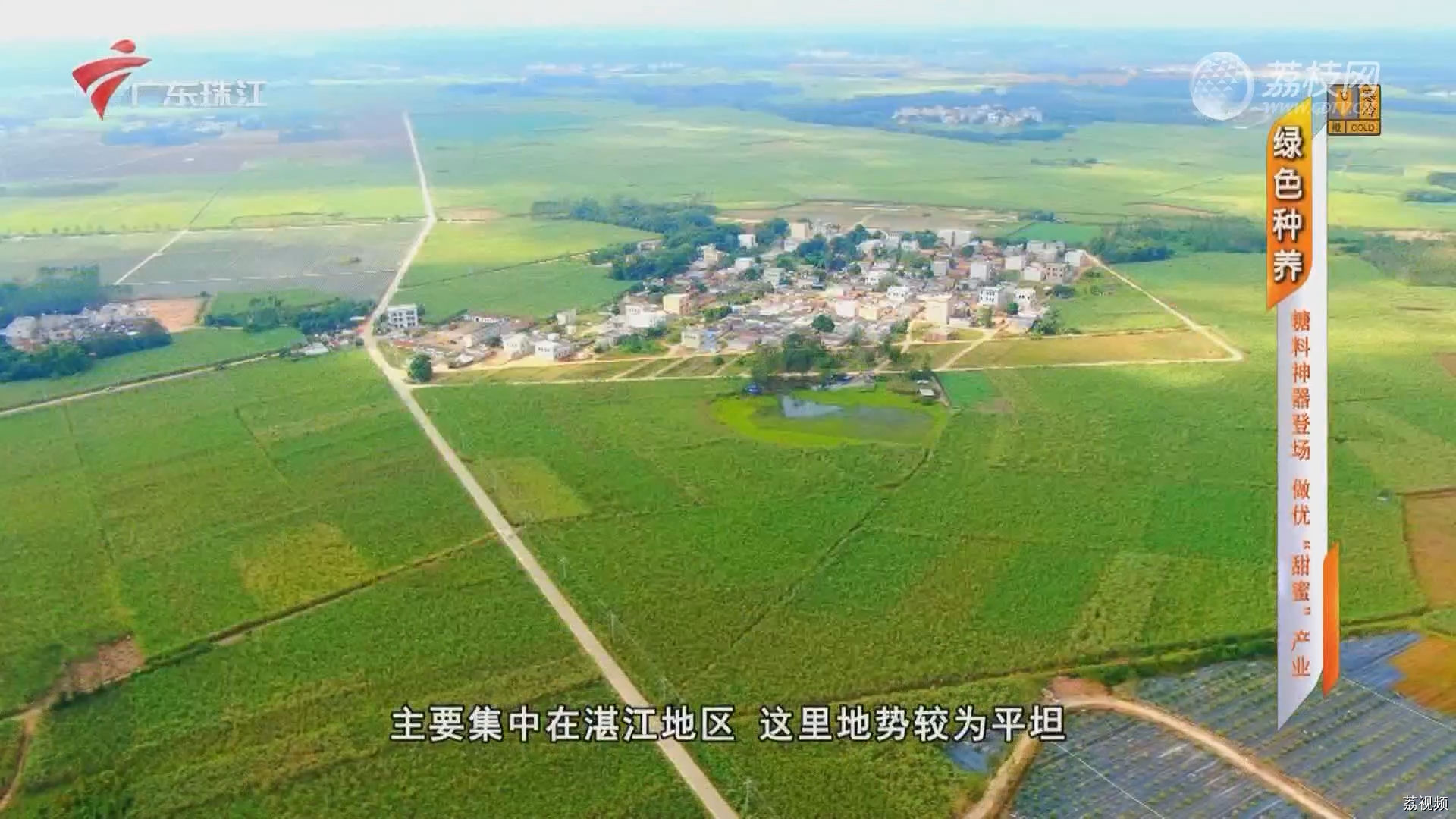 绿色种养：糖料神器登场 做优“甜蜜”产业