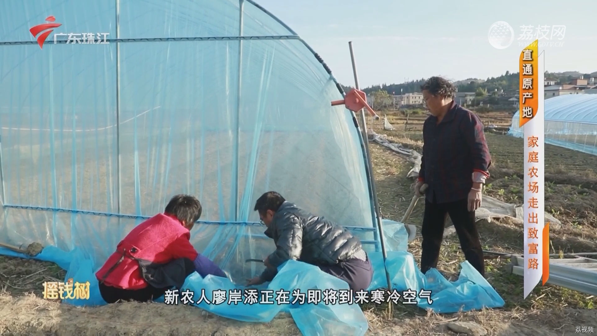 直通原产地：家庭农场走出致富路