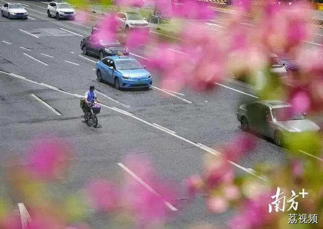 明年起实施！电动自行车禁入广州这些公共休闲场地