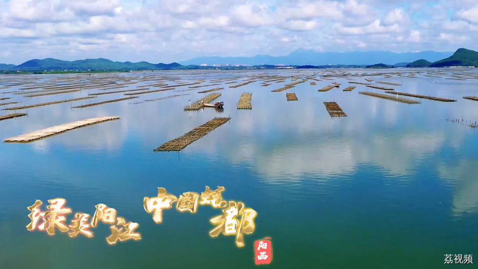 “绿美阳江·中国蚝都 2023年程村蚝美食文化周”重磅发布！蚝香四溢，品味冬日美食盛宴！