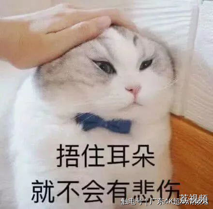 近十年“最冷冬至”来了！冬至这样养生，丝滑入冬