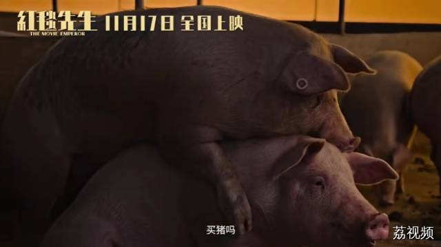 春节档8部电影，真的每部都能打吗？