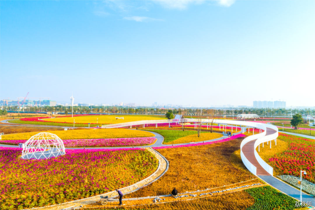 我的城市，尽是繁花！东莞新春赏花指南→