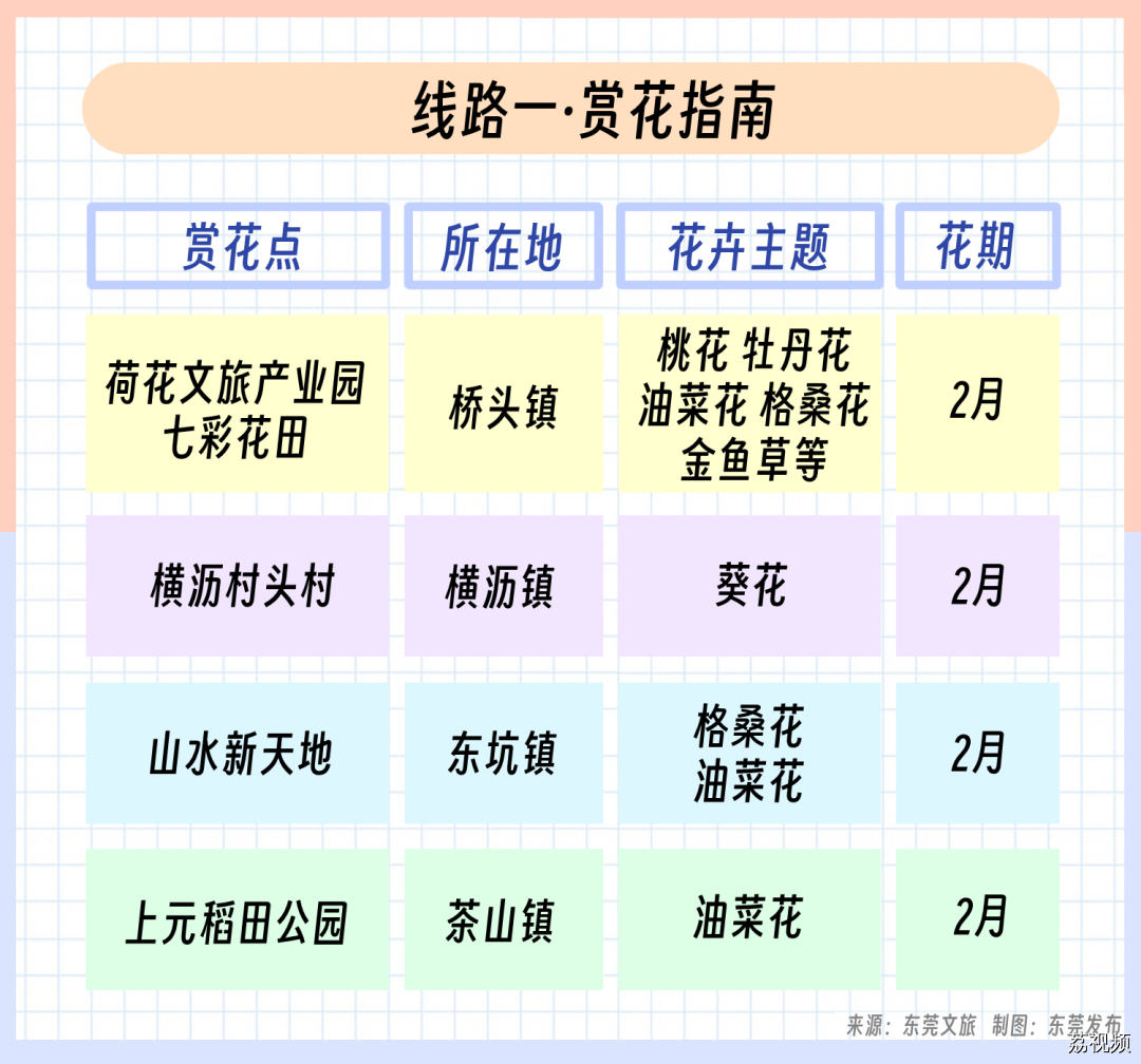 我的城市，尽是繁花！东莞新春赏花指南→