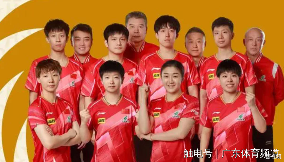 2024体坛盛宴，精彩无限！