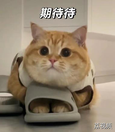 贺岁剧提前“讲古仔”话你知，与您一起沉浸式过龙年！