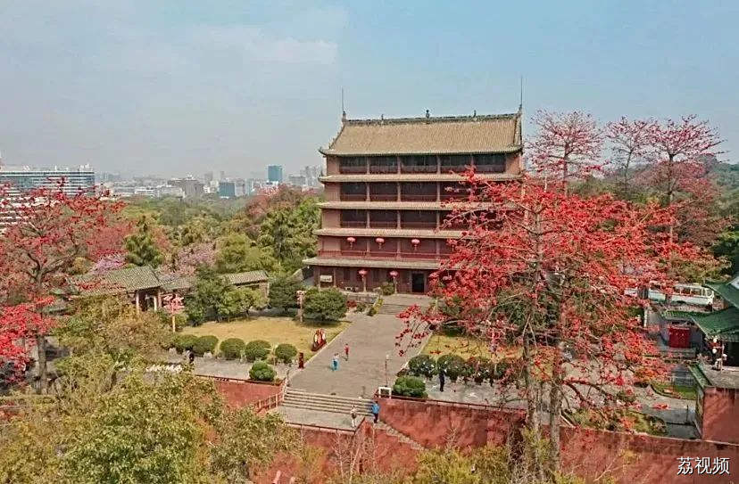 免费开放通知！
