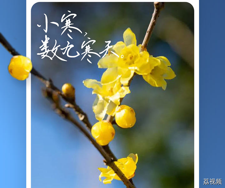 【直播回放】趣谈二十四节气之小寒