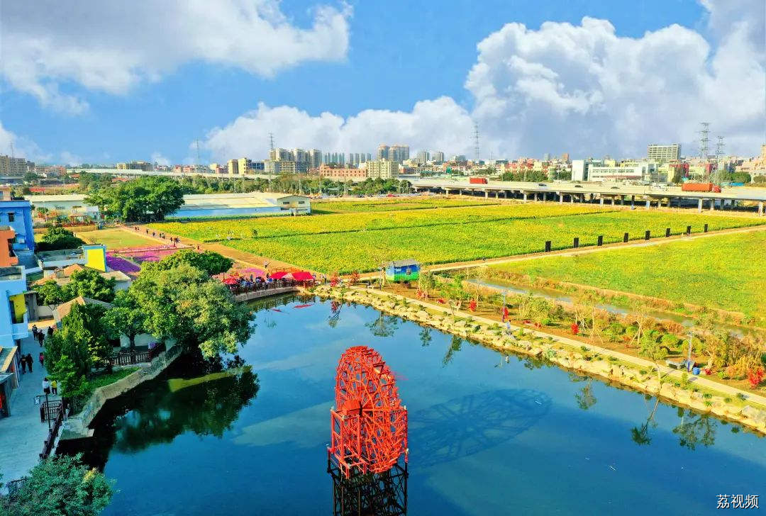 我的城市，尽是繁花！东莞新春赏花指南→