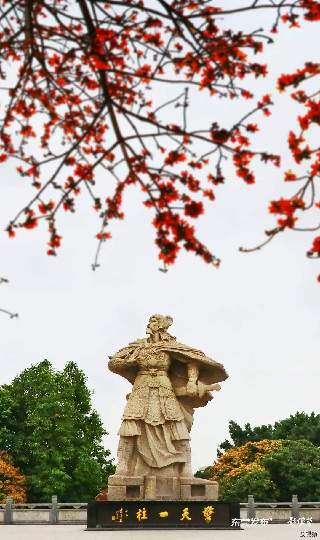 我的城市，尽是繁花！东莞新春赏花指南→