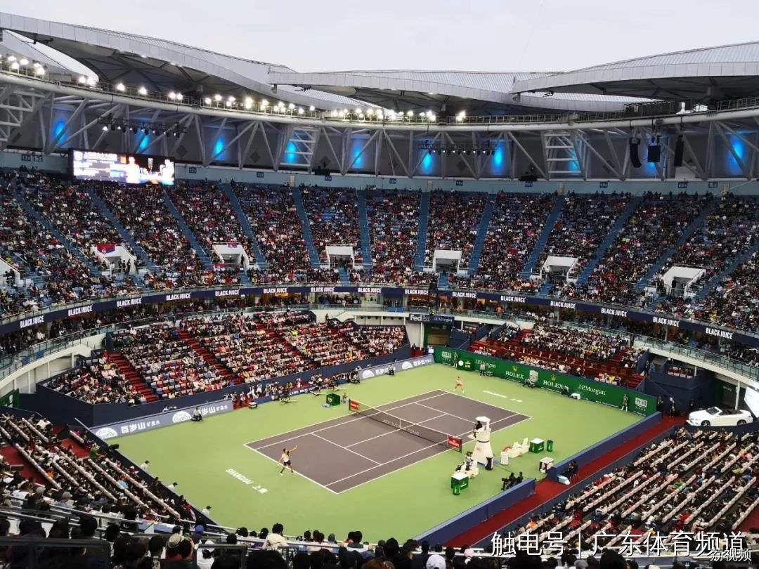 2024体坛盛宴，精彩无限！