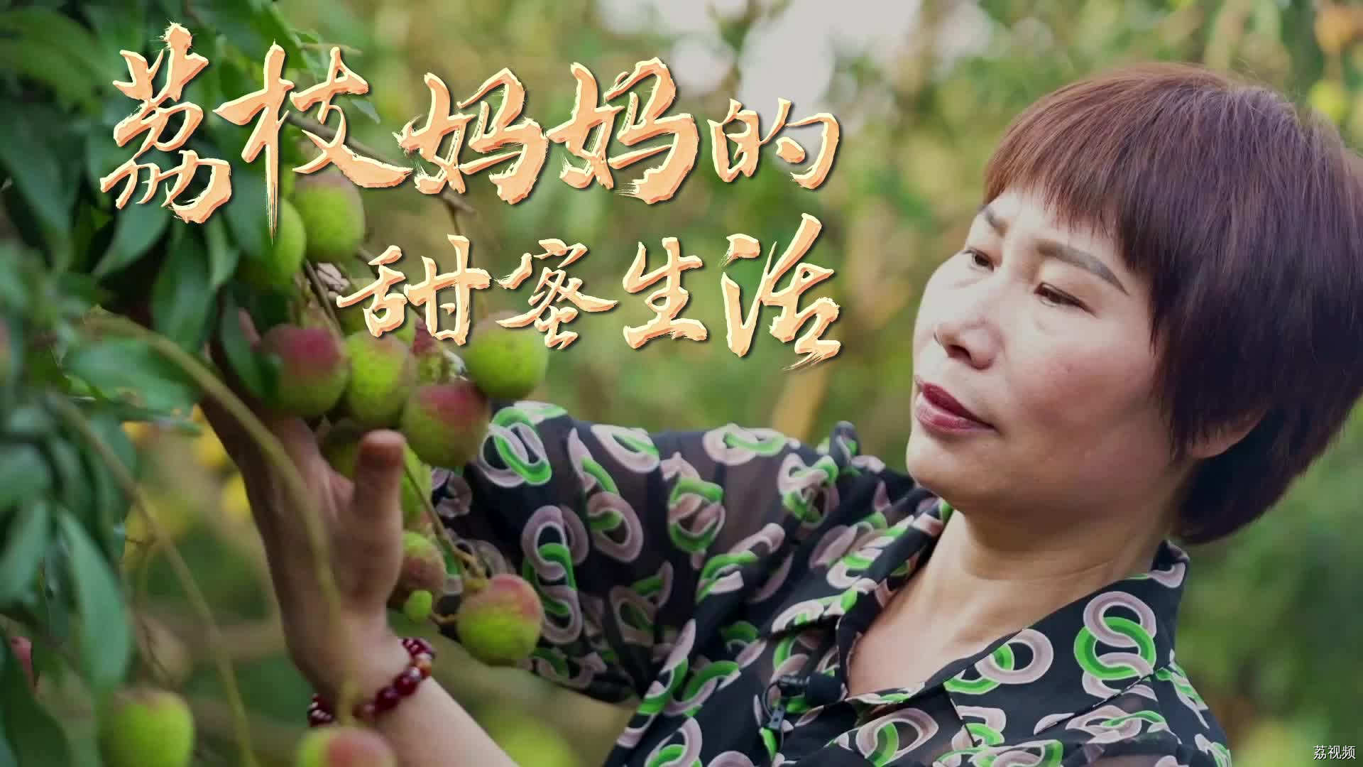 广东有位“荔枝妈妈”，写出了“荔荔皆幸福”的乡村佳句