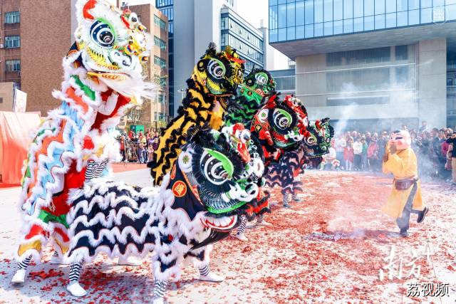 2月10日，东莞市石龙镇，年味十足的醒狮展演。陈慧娴 摄