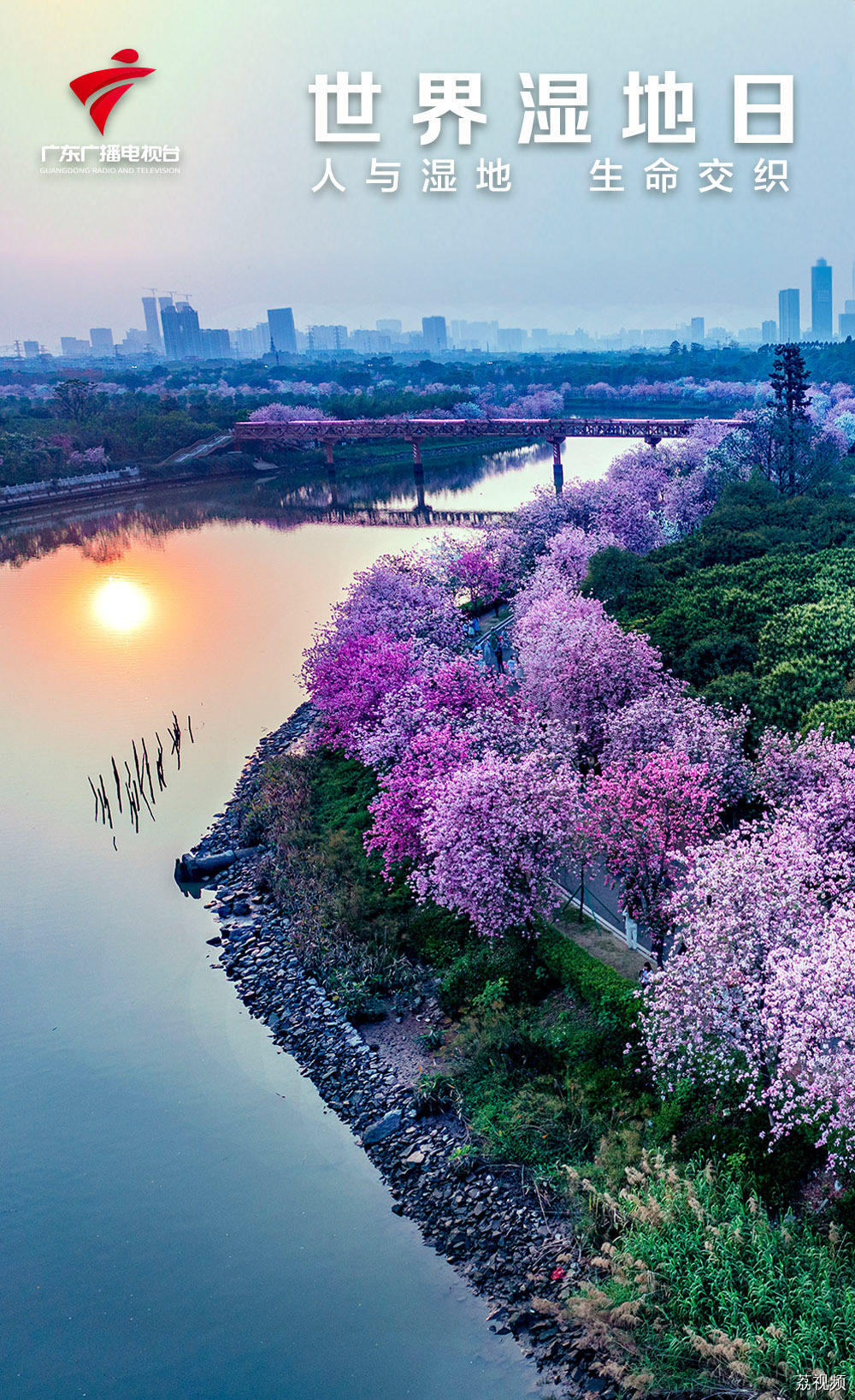 绿美广东｜世界湿地日：人与湿地 生命交织