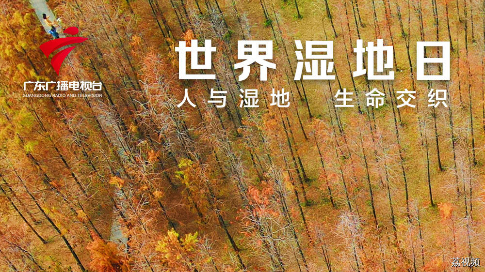 绿美广东｜世界湿地日：人与湿地 生命交织