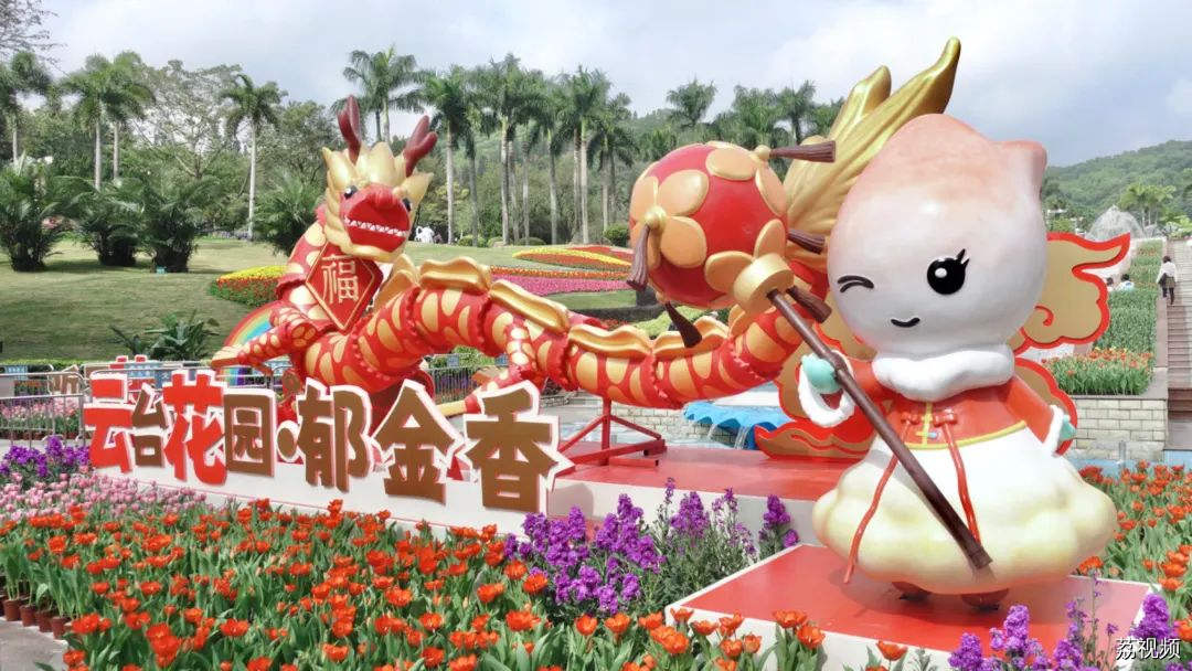 明天开始！广州又出现一片仙境