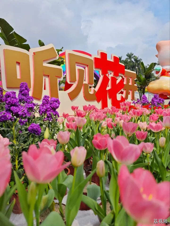 明天开始！广州又出现一片仙境