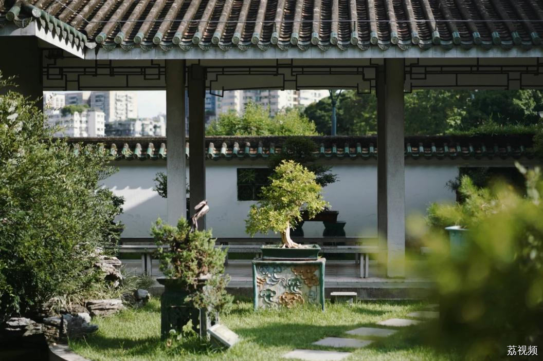 明天开始！广州又出现一片仙境