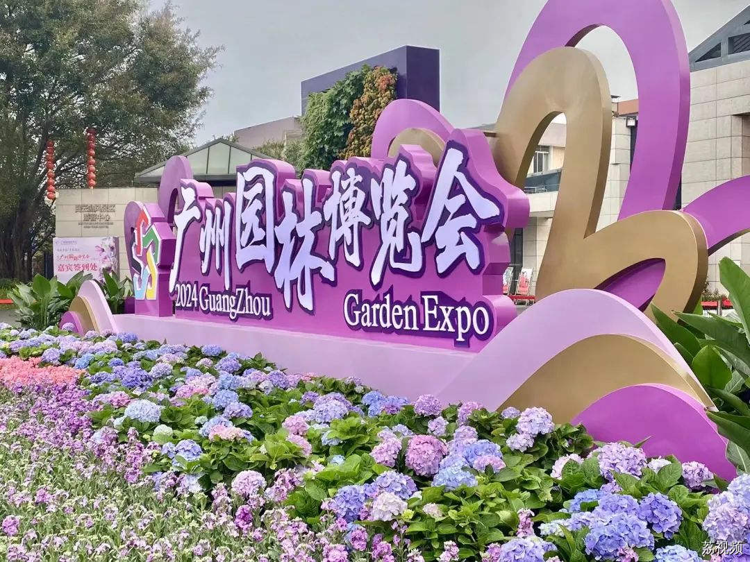 明天开始！广州又出现一片仙境