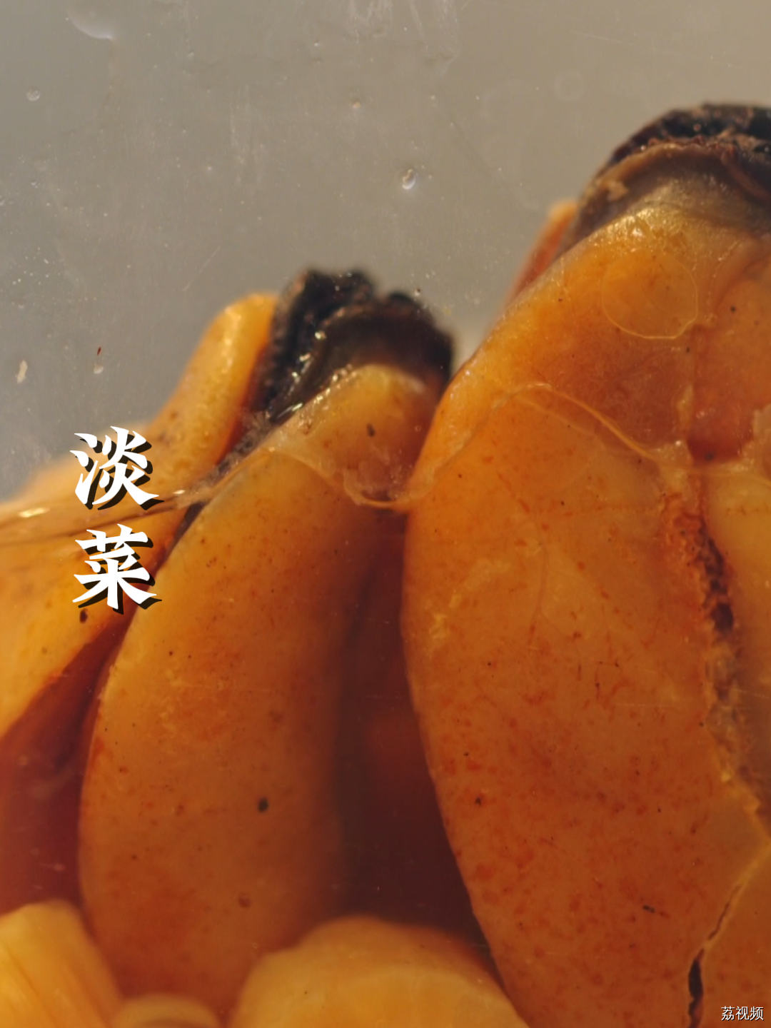 就算是清清白白的豆腐汤，加上淡菜也会变得鲜美无比~ #热点 #老广的味道 #家常菜