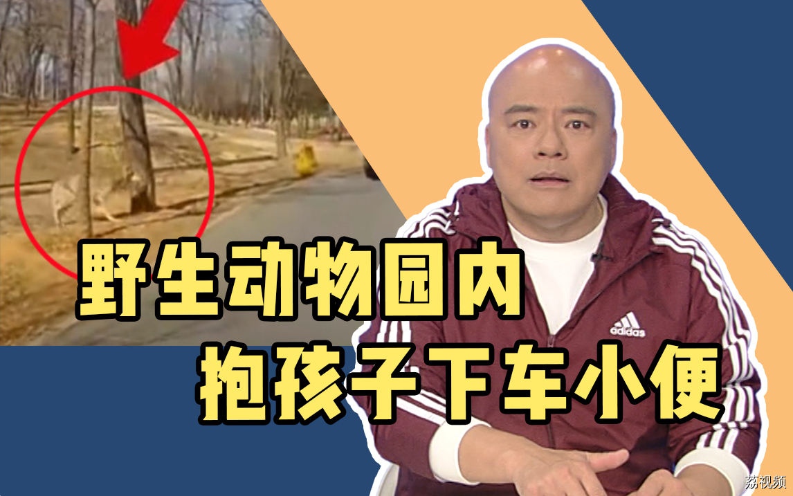 女子野生动物园抱孩子下车小便，狼从背后悄悄靠近