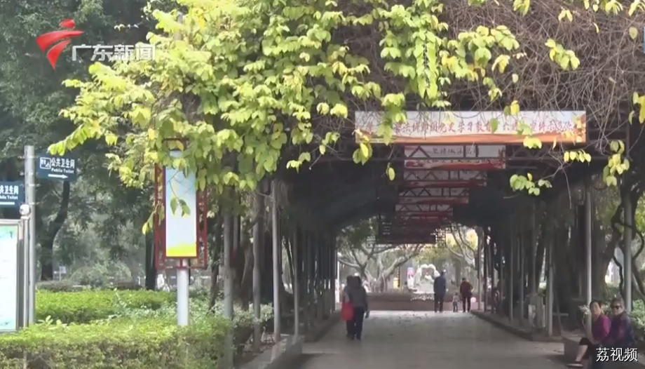 广东“回暖”“回南”同时到！后续还有冷空气→