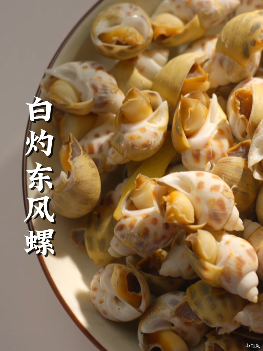 吃海鲜长大的东风螺，同等体型大小的前提下咬合力竟和鳄鱼不相上下？#老广的味道 #家常菜 #纪录片