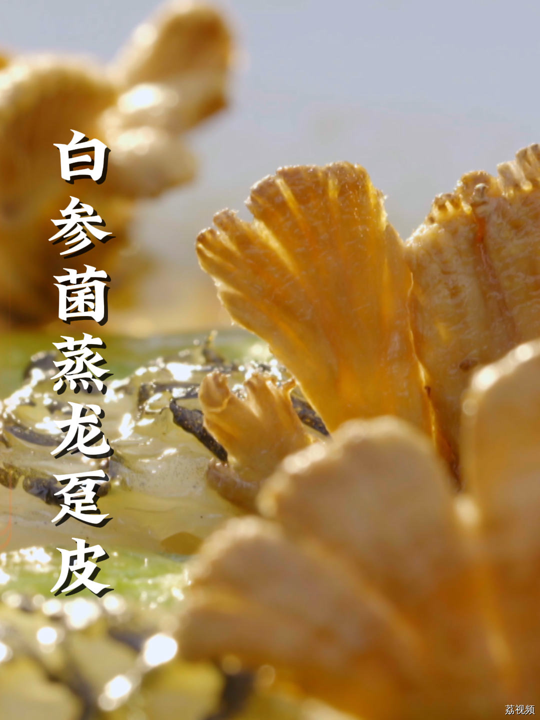 只需要五分钟，就能吃到超级鲜美一绝的白参菌蒸龙趸皮，快来尝尝