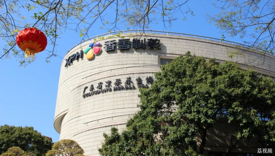 后悔没早点看到这篇推文！！！
