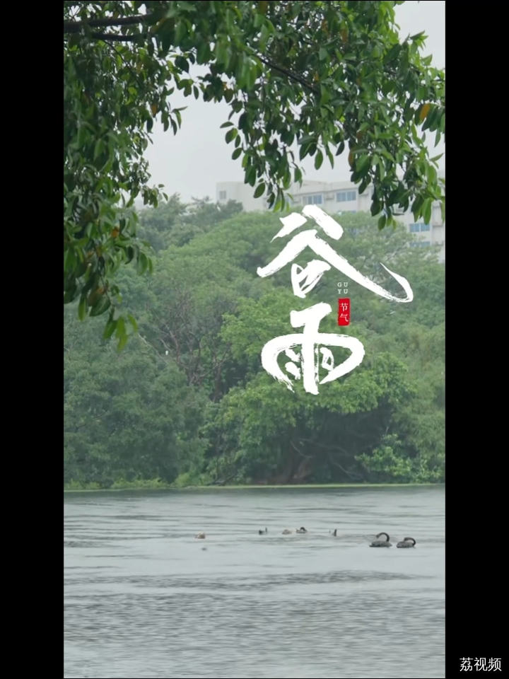 谷雨 | #二十四节气 #谷雨 岁月极美，在于它的必然流逝 #节气里的中国 #花城 #广州