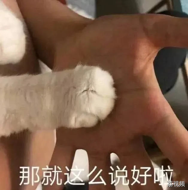 求职的你，里边请~